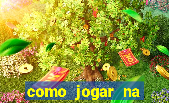 como jogar na teimosinha da lotofacil