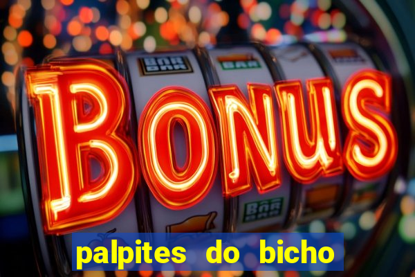 palpites do bicho no celular