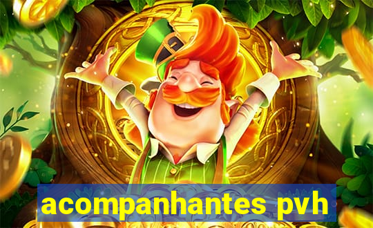 acompanhantes pvh