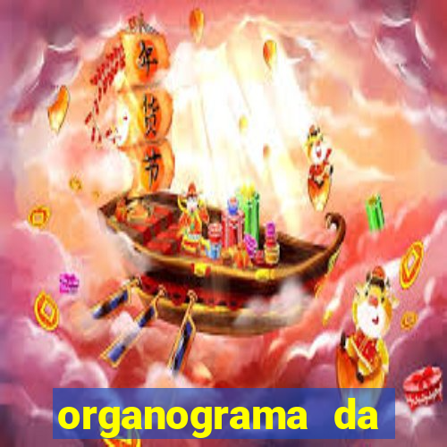 organograma da cacau show