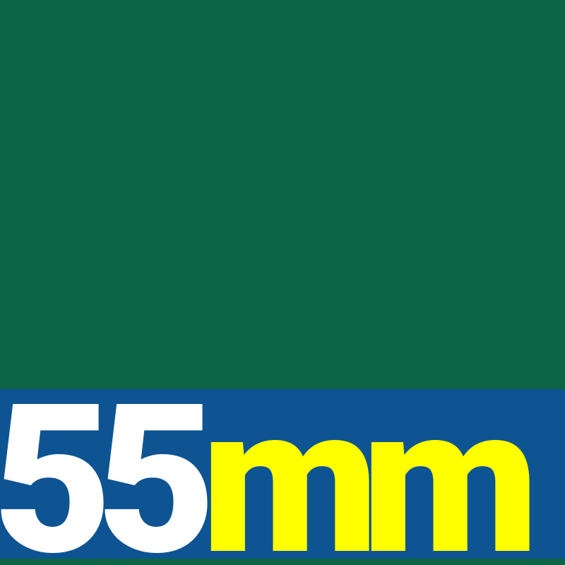 55mm