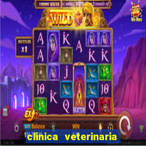 clinica veterinaria cuidar betim