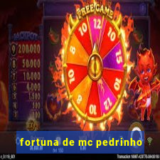 fortuna de mc pedrinho