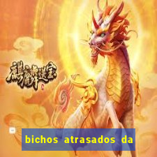 bichos atrasados da loteria federal