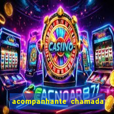 acompanhante chamada de video