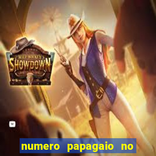 numero papagaio no jogo do bicho