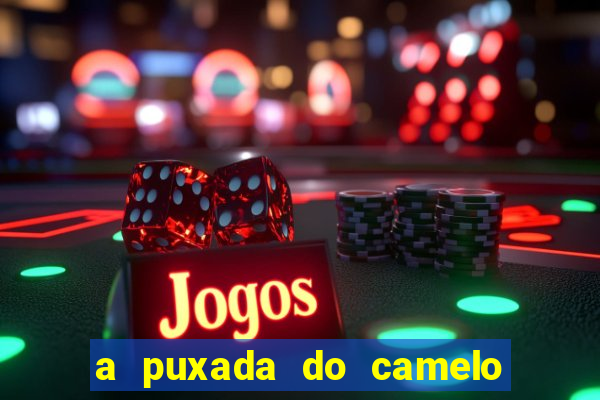 a puxada do camelo no jogo do bicho