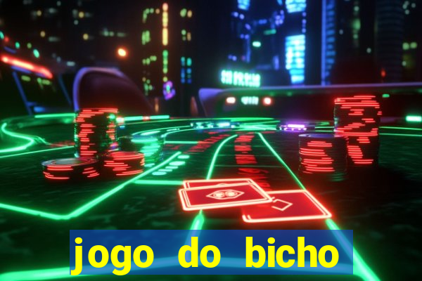 jogo do bicho crash bingo