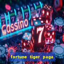 fortune tiger paga de madrugada