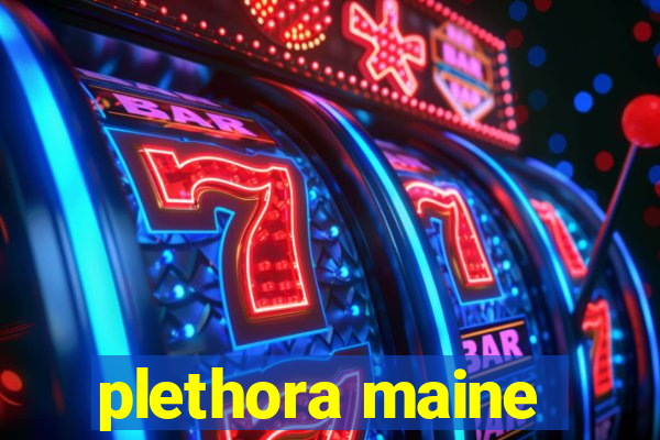 plethora maine