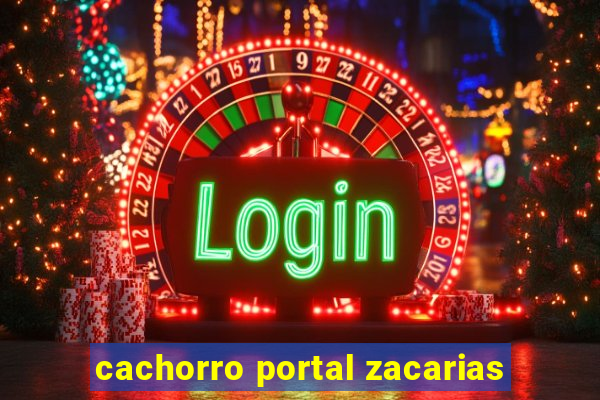 cachorro portal zacarias