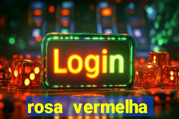 rosa vermelha (letra e cifra)