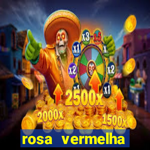 rosa vermelha (letra e cifra)