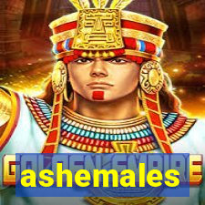 ashemales