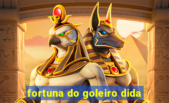 fortuna do goleiro dida