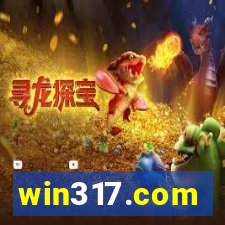 win317.com