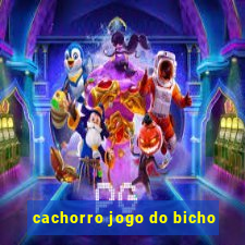 cachorro jogo do bicho