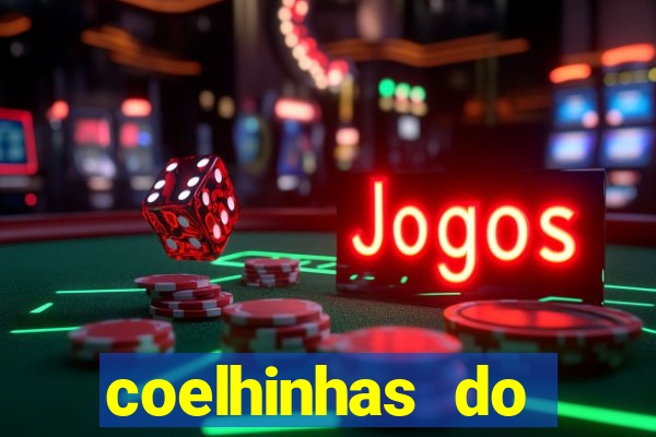 coelhinhas do brasil site