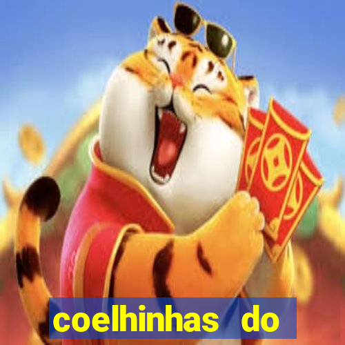 coelhinhas do brasil site