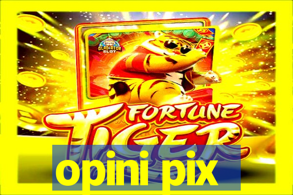 opini pix