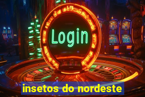 insetos do nordeste