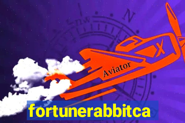 fortunerabbitcasino.online