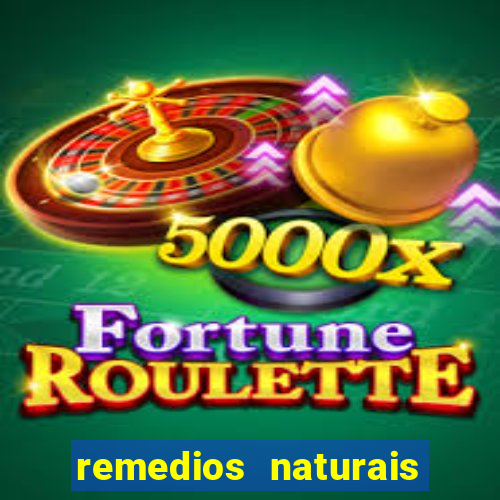 remedios naturais para diabetes