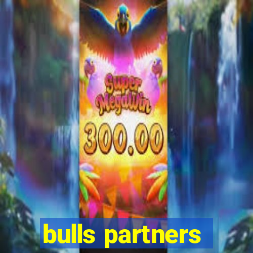 bulls partners