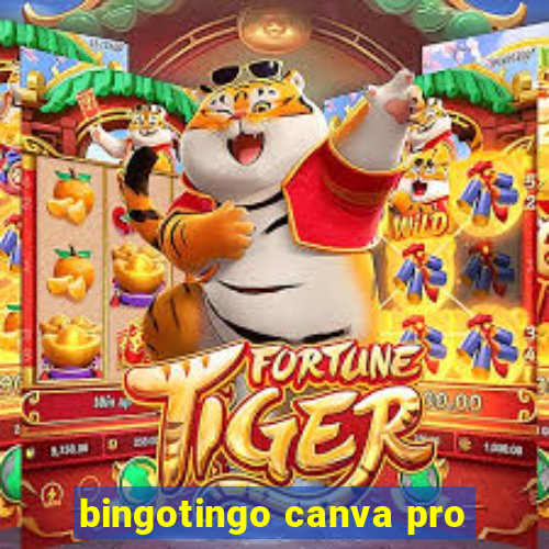 bingotingo canva pro