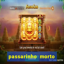 passarinho morto significado espiritual