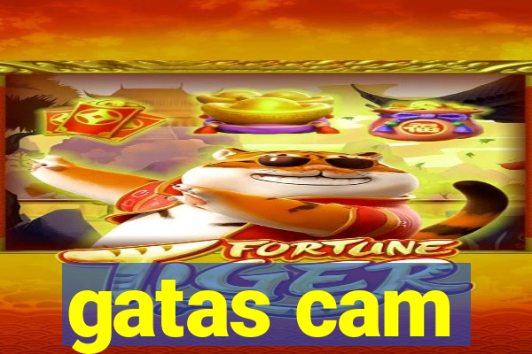 gatas cam