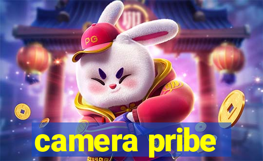 camera pribe