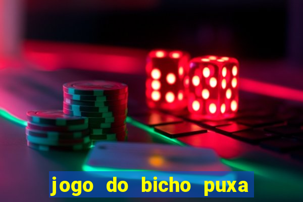 jogo do bicho puxa de dona maria