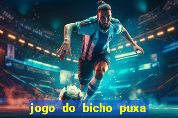 jogo do bicho puxa de dona maria