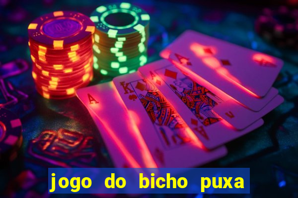 jogo do bicho puxa de dona maria