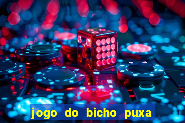 jogo do bicho puxa de dona maria