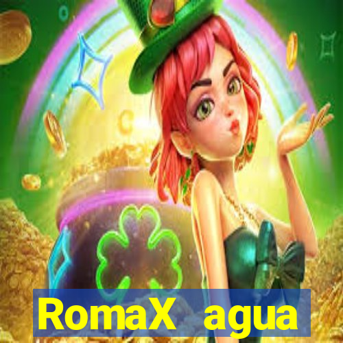 RomaX agua sanitaria fispq agua sanitaria romax