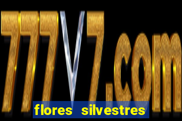 flores silvestres desbravadores desbravadores 25 flores silvestres e seus nomes