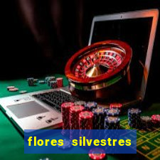 flores silvestres desbravadores desbravadores 25 flores silvestres e seus nomes