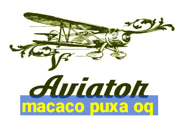 macaco puxa oq