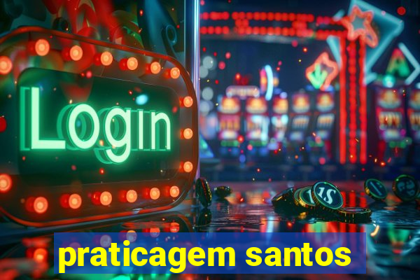 praticagem santos