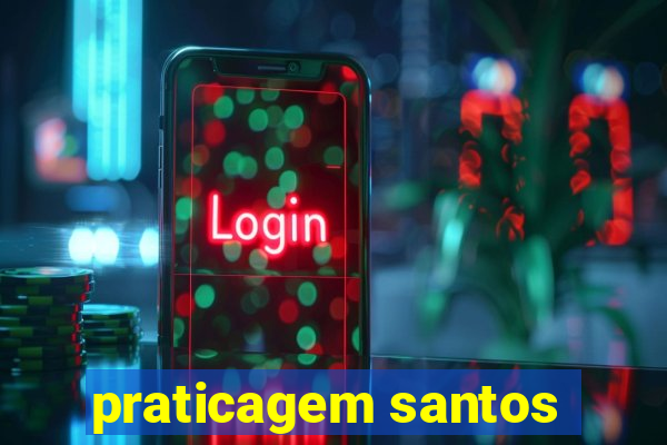 praticagem santos