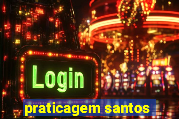 praticagem santos