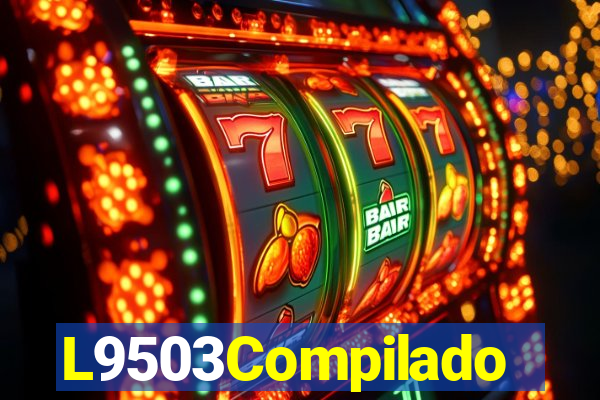 L9503Compilado