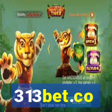 313bet.co