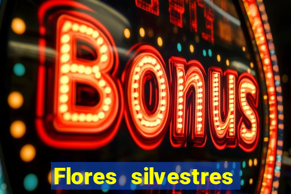 Flores silvestres brasileiras brasileiras flores silvestres nomes e imagens