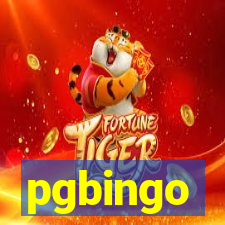 pgbingo