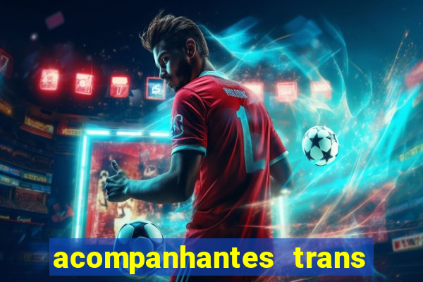 acompanhantes trans baixada fluminense