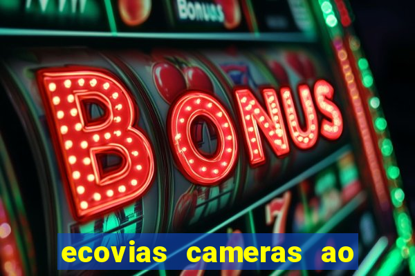 ecovias cameras ao vivo santos