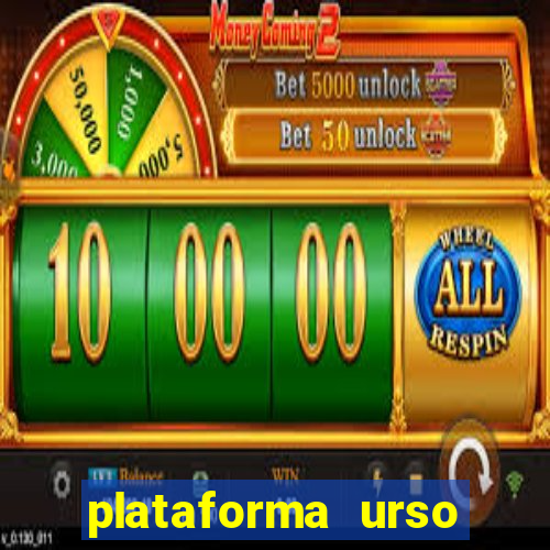 plataforma urso polar 777